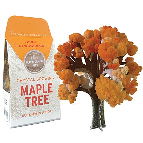 Copernicus Toys Crystal Growing Maple | Tree Official Terraformer kit | Grows in Hours