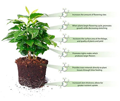 Soil Moist SAP Garden and Lawn Soil Treatment for Improved Water Retention Keep Plant Root Zone Moisture (5)