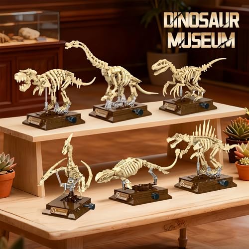 DRZYJ Brachiosaurus Dinosaur Fossil Building Set, 284Pcs Movable Brachiosaur Skeleton Model Kit with Museum Display Stand, Educational Giant Sauropod Toy for Kids 8+, Gift for Dinosaur Lovers - style: Brachiosaurus