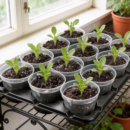 homenote 5 Pack 12 Cell Seed Starter Trays with 60 4 Inch Nursery Pots - size: 4 Inch, style: 5 Pack Seed Starter Tray+Nursery Pots