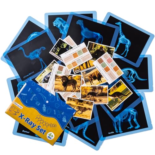 15 Pcs Zoo Animal Xrays for Kids - Light Table Manipulatives - style: Zoo Series