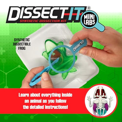 Top Secret Toys Dissect-It Mini Labs Frog Dissection Kit for Kids, Realistic Synthetic Kids Science Kit - On, Biology and Animal Anatomy, STEM Toy, Ages 6+ - style: Mini Frog