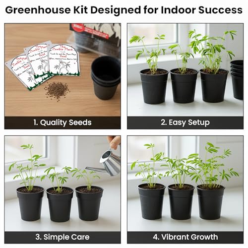 Zombie Plant Greenhouse Grow Kit - Touch It and Watch It Play Dead - Unique Grow Kit to Cultivate a Fun Indoor Plant that Revives in Minutes - Cool Plants and Great for Housewarming Gifts - style: Greenhouse Grow Kit