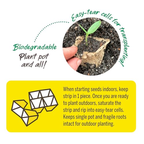 Jiffy Seed Starting Tray - Biodegradable, Plant Germination Cells - 20 Strips (200 Cells) - Peat - color: 20 Strips (200 Cells Total)