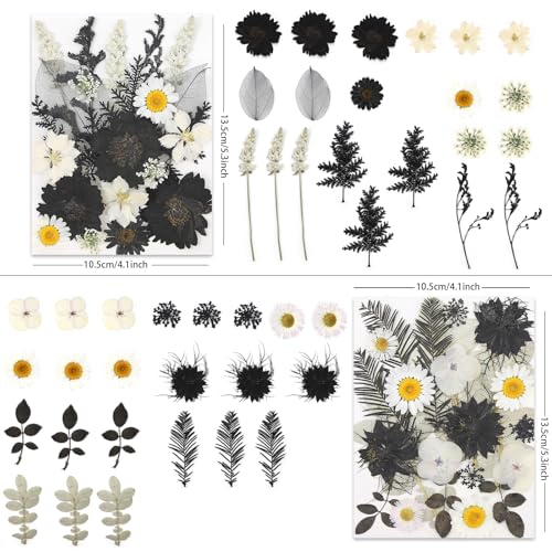 LUXEEASE 90P Halloween Black & White Dried Pressed Flowers - color: Black & White Halloween Style 90p