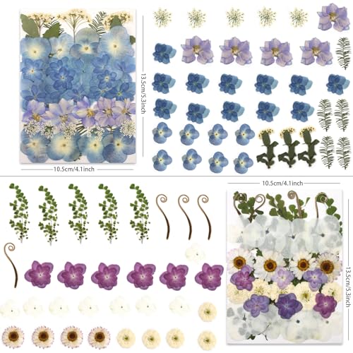 LUXEEASE 140P Hydrangea Dried Pressed Flowers - color: Hydrangea 140p