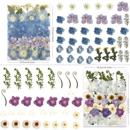 LUXEEASE 140P Hydrangea Dried Pressed Flowers - color: Hydrangea 140p