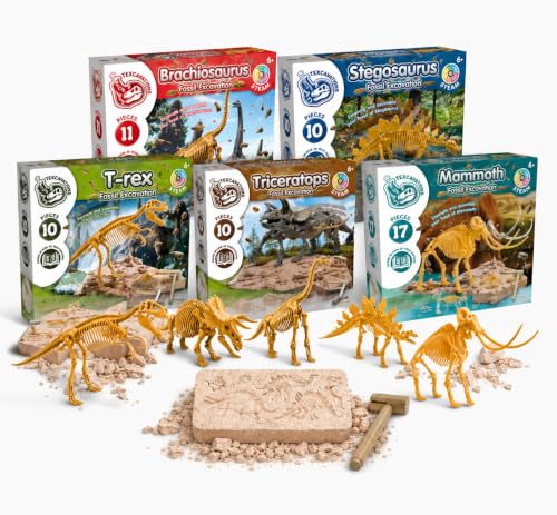Science4you Dinosaur Excavation Kit Bundle – 5 Fossil Dig Kits for Kids, T-Rex, Triceratops, Stegosaurus, Brachiosaurus and Mammoth, STEM Science Toy, Archaeology Gift for Kids