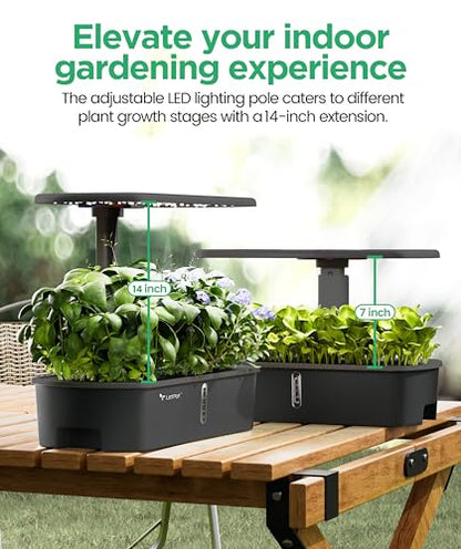 LETPOT LPH-Air 10-Pod Hydroponics Growing System Indoor Garden Kit - size: 10 Pods-Black
