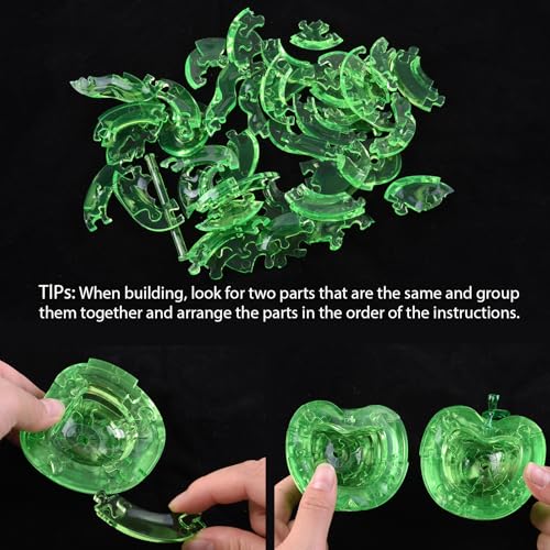 3D Crystal Puzzle, Night Light with Base, DIY Crafts for Age 14+, Birthday Gifts for Adults, Plastic Apple DIY Puzzle Blocks 3D Model Toy(Green) - color: Green