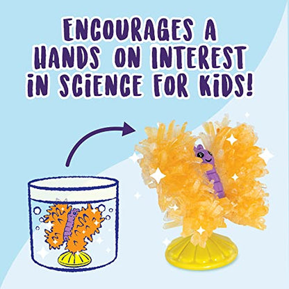 MindWare Sparkle Formations Crystal Butterflies Science Kit with Crystal