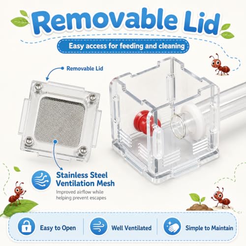Mini Queen Ant Nest with Test Tube 2 x 2 x 2 Inch 18X180MM Transparent Acrylic Ant Farm for Small Colonies Starter Habitat Observation Formicarium - size: 18mm