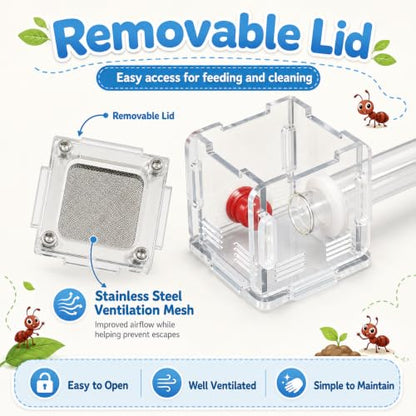 Mini Queen Ant Nest with Test Tube 2 x 2 x 2 Inch 18X180MM Transparent Acrylic Ant Farm for Small Colonies Starter Habitat Observation Formicarium - size: 18mm