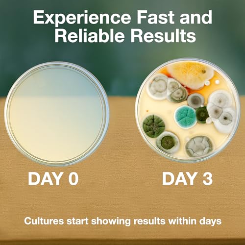 Evviva Sciences Microbiology Science Project Kit, Pre-Poured Agar Plates for Students, Agar Petri Dishes to Learn Microbiology, with Educational Experiment eBook - size: Medium (6 X 4 X 4in)