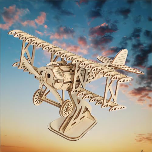 3D Wooden Puzzles Aircraft Vintage Airplane Model DIY Science Kit Birthday for Adults & Teens to Build Combination - style: Airplane