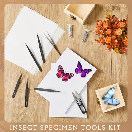 Spiareal 55 Pcs Insect Specimen Tools Kit Include 3.54 x 3.54 x 1.77 in 8 Pcs Display Case Box 6 Foam Pinning Board 3 Tubes Pins 6 Tweezers Butterfly Insect Pinning Kit Entomology Collection Supplies