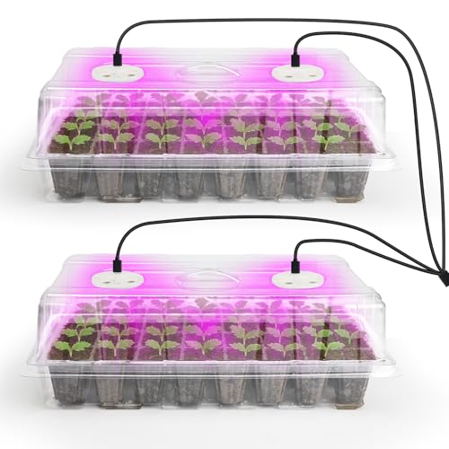 Bonviee Seed Starter Trays with Grow Lights, 80 Cells, 2 Pack - color: Clear, size: 2 Packs