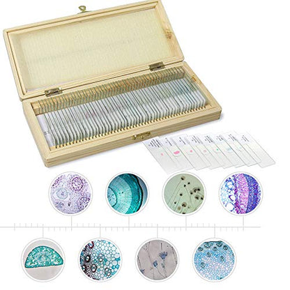 50PCS Microscope Slides with Specimens with Wooden Box, LVQ091 - color: 50PCS