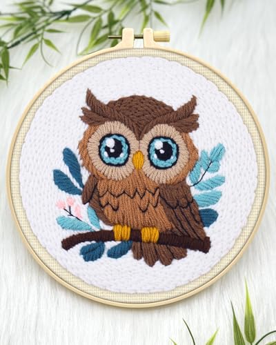 ERKOON Punch Needle Kit for Beginners Adults, DIY Easy Animal Embroidery Set for Starter Art Craft, Needling Punch Project with Patterns, Tools, Yarns, Hoop, Instruction (Owl) - color: Owl