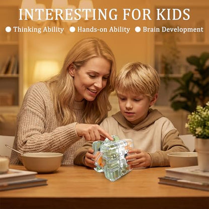 2 Pack 3D Rolling Ball Maze Cube Puzzle,Maze Cube for Kids Labyrinth 3D Puzzle Maze Cube Ball Twist Roll Brain Teaser Toys,Cultivate Logical Thinking for Logical Thinking for Family Game Birthday Gift - color: Maze Cube