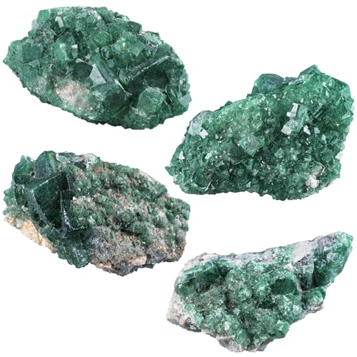 Sportmusies Natural Green Fluorite Crystal Cluster, 1.97-5.51 inches - size: 1.97 - 5.51 Inch