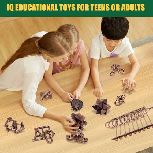 Mytothfy Brain Teaser Puzzles for Adults Teens Kids, 3D Puzzle Game Toys - color: Style B
