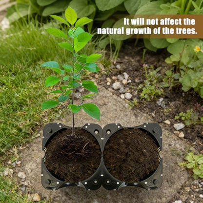 Air Layering Propagation Kit 30 PCS Plant Root Growing Boxes