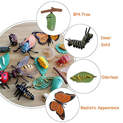 JOKFEICE 13pcs Insect Toys Life Cycle of Butterfly, Honey Bee & Frog Action Model, Plastic Bug Figurines, Early Educational Toys, Science Project, Christmas Birthday Gift for Kids