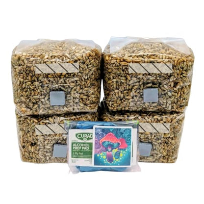 4 x 1lb - Rye Grain Mushroom Spawn Bags, with Injection Ports