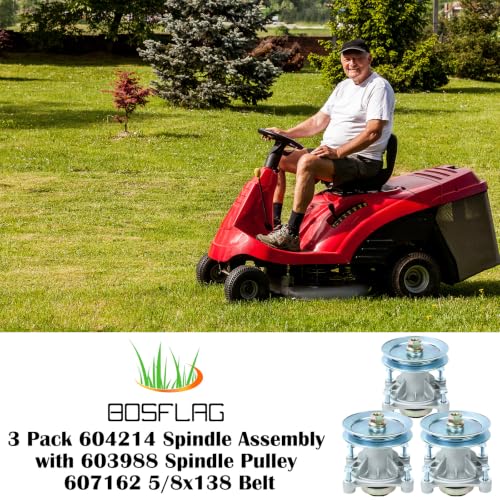 3PK 604214 Spindle Assembly with 603988 Spindle Pulley - size: 3x604214F