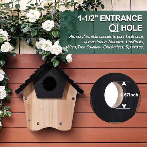 NATUREYLWL DIY Wooden Birdhouse Kit with Side Access