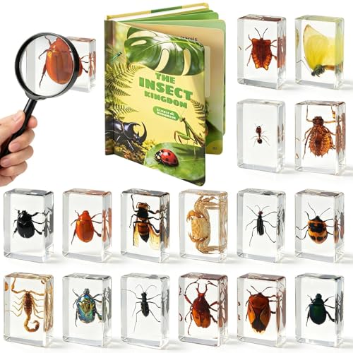 16 Pcs Real Insect in Resin Specimens Set with Magnifying Glass and Audiobooks, Various Butterflies, Bugs and Beetles Collection for Science Education, Classroom, Biology, Preschool, Home Display