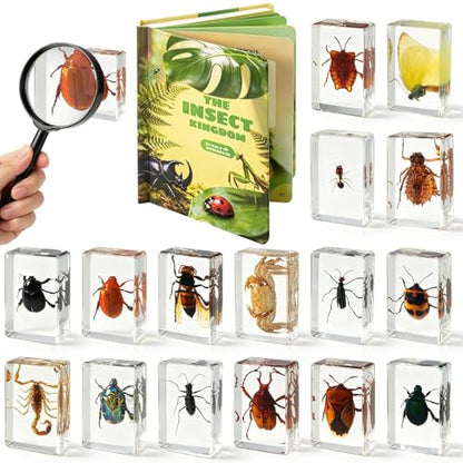 16 Pcs Real Insect in Resin Specimens Set with Magnifying Glass and Audiobooks, Various Butterflies, Bugs and Beetles Collection for Science Education, Classroom, Biology, Preschool, Home Display