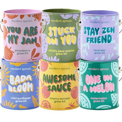 Modern Sprout Complimentary Color Grow Kits - Seed Starter Kit, Pack of 6 - size: Pack of 6