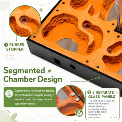 Terra Core Series Progressive Ant Nest with Starter Kit 10.63 x 9 x 5.12 in - size: Terra Core Series-Progressive