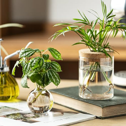 Plant Propagation Stations, 2 Style Glass Planter Terrariums, Propagation Vases for Plant, Plant Propagation Jars for Hydroponic Planter Home Office Tabletop Decoration (4)