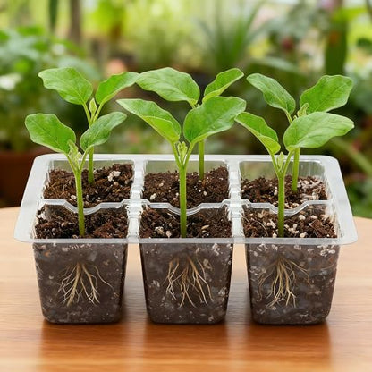 Bonviee 10-Pack Seed Starter Trays, 6-Cell Insert Trays, Clear - color: Clear, size: 60 XL Cells