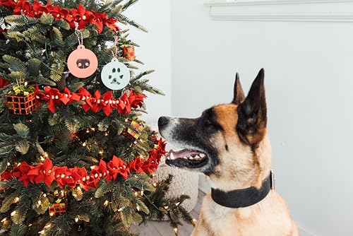 Pearhead Pet Christmas Clean Touch Ink Pad Kit for Dogs and Cats - color: Christmas Clean-touch Ink Pad Noseprint Kit, size: 1-Pack
