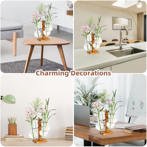 Plant Propagation Station with Wood Stand - 4 Bulb Glass Vases - size: Small