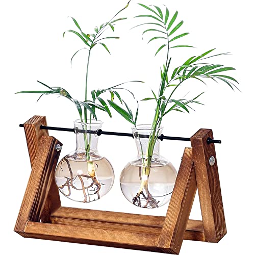Kingbuy Glass Desktop Planter with Retro Wooden Stand, 2 Bulbs - size: 2 Bulb Vase