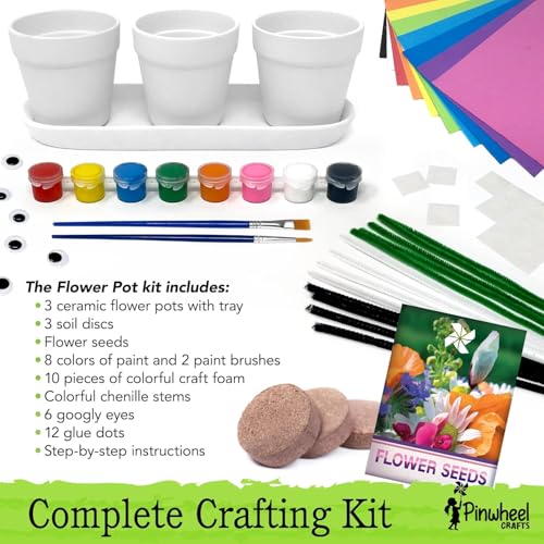 Pinwheel Crafts Flower Pot Painting Kit for Kids Ages 8-12, Seeds and Soil - style: Painting Kit with Seeds and Soil