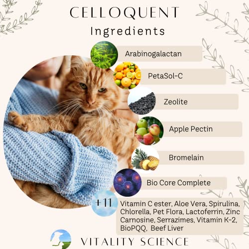 Vitality Science Advanced Immune Restoration Supplements for Dogs | Intense Regeneration Protocol | Helps with Pain Relief (Small) - size: Small