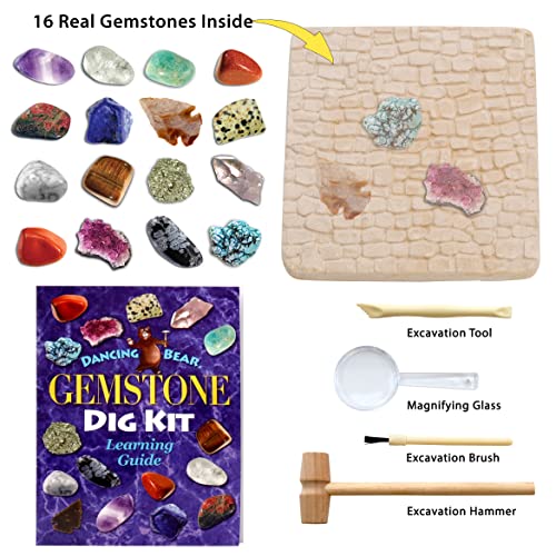 DANCING BEAR Gem stone Dig Kit, Excavate 16 Real Gems & Crystals including Arrowheads, Quartz Point and Amethyst, STEM Education for Kids, Fun Rock Mining Science Activity Gift Sets for Girls and Boys