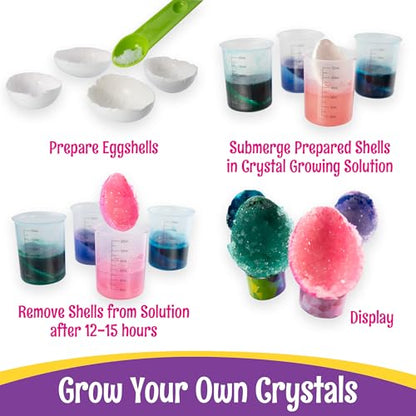 PAAS Easter Egg Decorating Bundle, Includes 1 Active Volcano Eggsperiment Kit, 1 Crystal Growing Eggsperiment Kit, Easter STEM kit, Food Safe Dye (2 Piece Bundle) - color: Multi