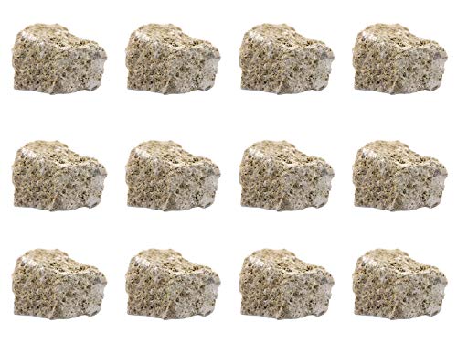 EISCO 12PK Raw Fossiliferous Limestone, Sedimentary Rock Specimens - Approx. 1" - Geologist Selected & Hand Processed - Great for Science Classrooms - Class Pack