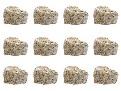 EISCO 12PK Raw Fossiliferous Limestone, Sedimentary Rock Specimens - Approx. 1" - Geologist Selected & Hand Processed - Great for Science Classrooms - Class Pack