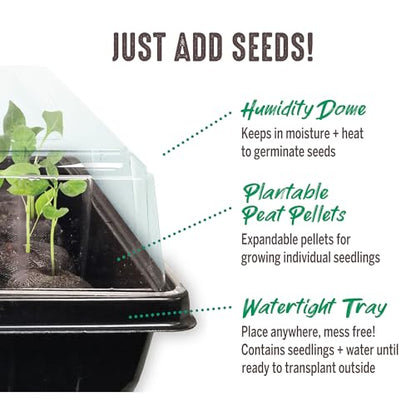 Jiffy Seed Starting Tray Kit - 36 Cell, Bonus 3 Pack, Seeding Starter Kit - 11 x 11 x 4.25 in - style: 3 Greenhouse Kit