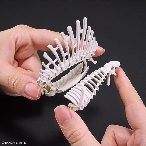 Bandai Hobby - Plannosaurus - #05 Spinosaurus, Bandai Spirits Dinosaur Model Kit