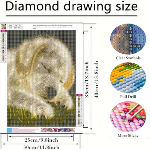 BYGFHLYW 5D Diamond Painting Kit, Dog Diamond Art for Adults 12X16In - color: KM1138-1