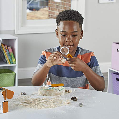 hand2mind Dig & Display Fossil Dig Kit, Fossil Display Case, 8 Real Fossils to Uncover, Dig Kits for Kids, Fossil Digging Kit for Kids, Excavation Kit for Kids, Fossil Science, Archeology Kits